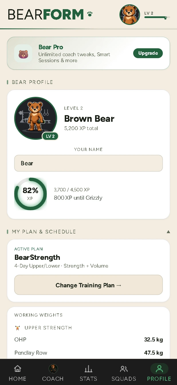 Bear profile with XP
